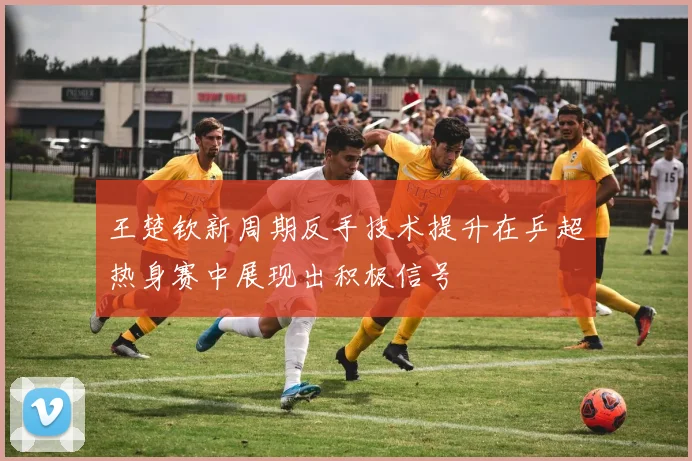 王楚钦新周期反手技术提升在乒超热身赛中展现出积极信号