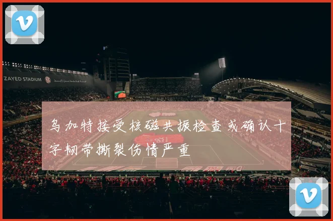 乌加特接受核磁共振检查或确认十字韧带撕裂伤情严重