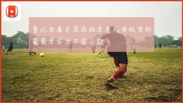 普比尔表示若西班牙夺冠将纹奖杯葡萄牙实力不容小觑