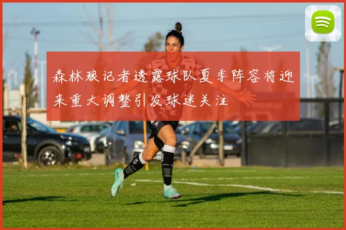 森林狼记者透露球队夏季阵容将迎来重大调整引发球迷关注